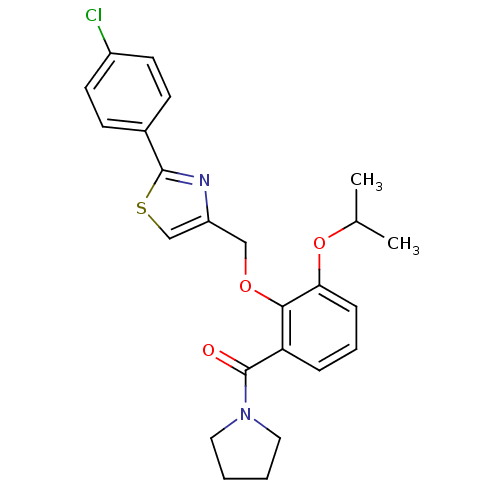 PNG