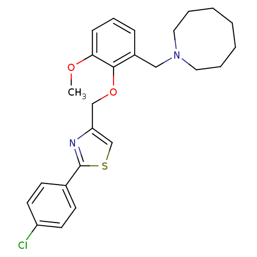 PNG