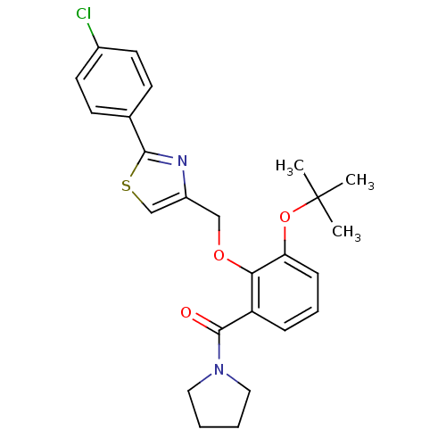 PNG