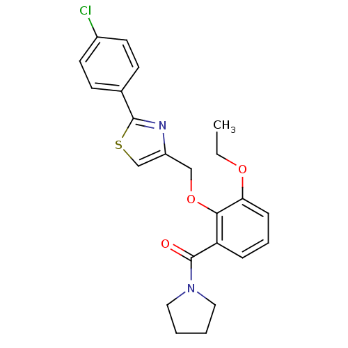 PNG