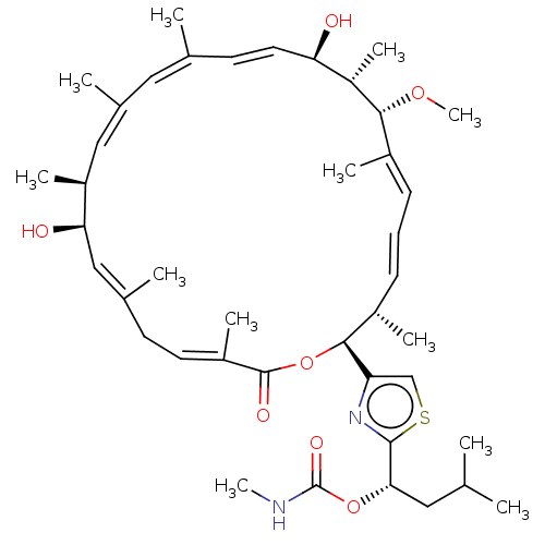 PNG
