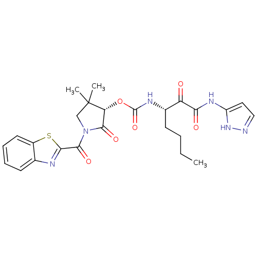 PNG