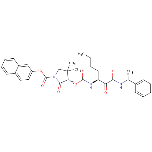 PNG