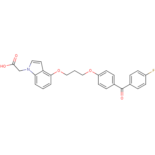 PNG