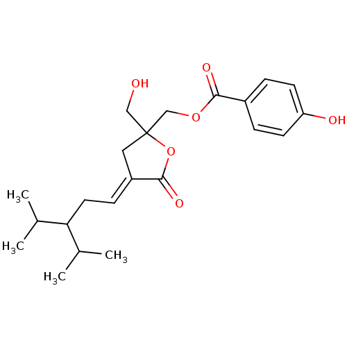 PNG