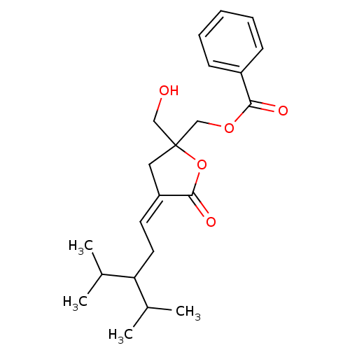 PNG