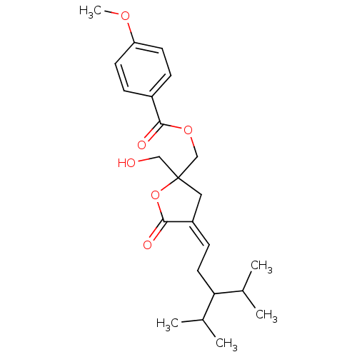 PNG