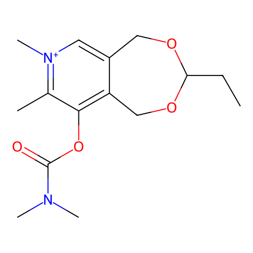 PNG