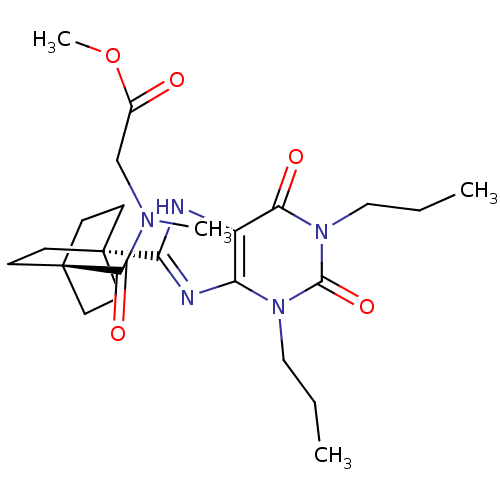 PNG