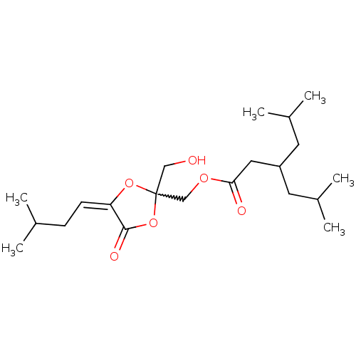 PNG