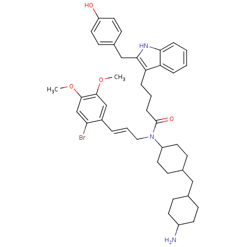 PNG