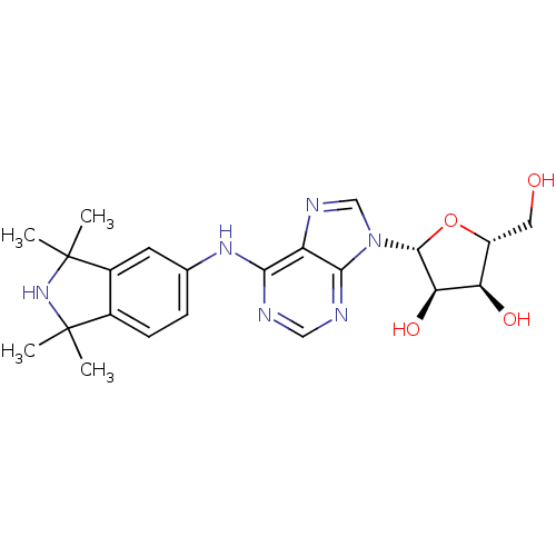PNG