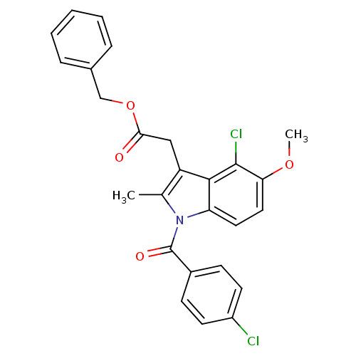 PNG