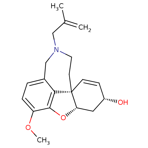 PNG