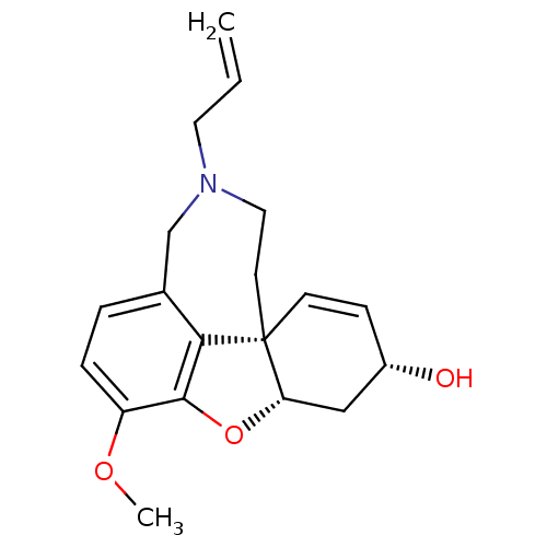 PNG