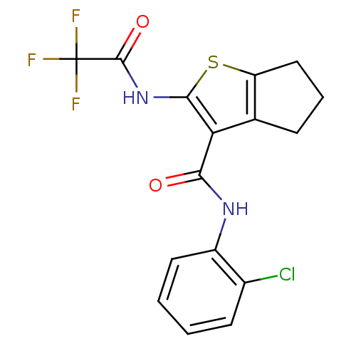 PNG