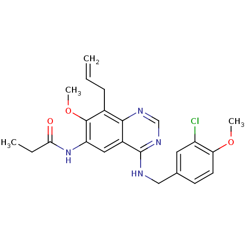 PNG