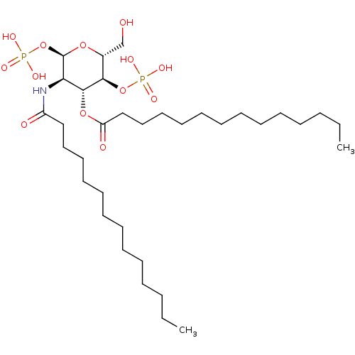 PNG