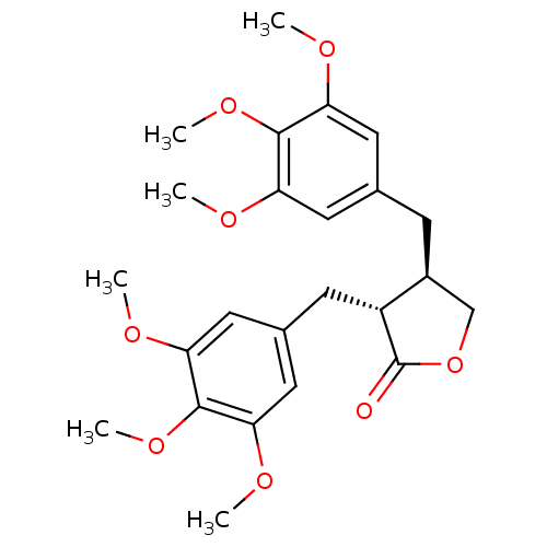 PNG