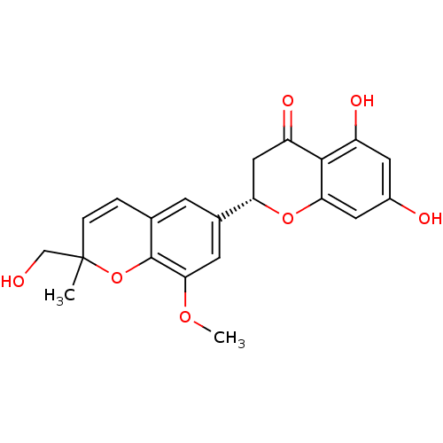 PNG