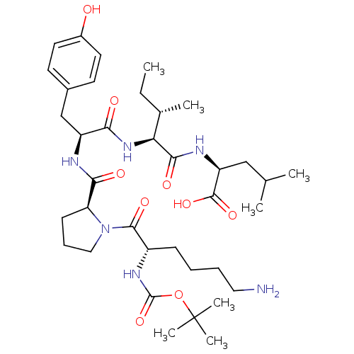 PNG