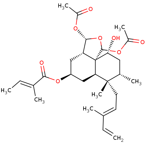 PNG