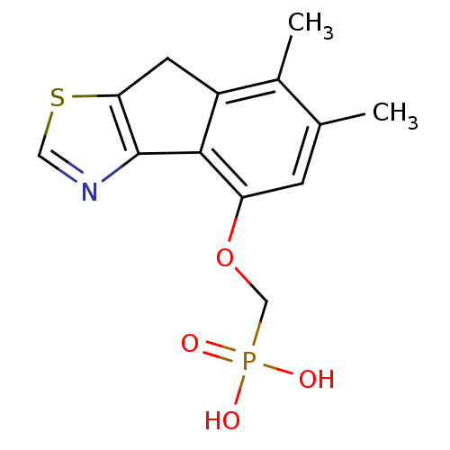 PNG