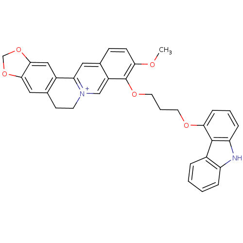 PNG