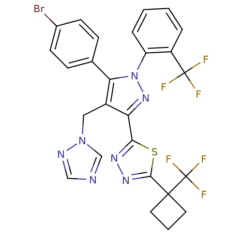 PNG