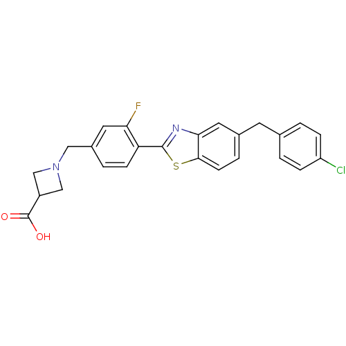 PNG