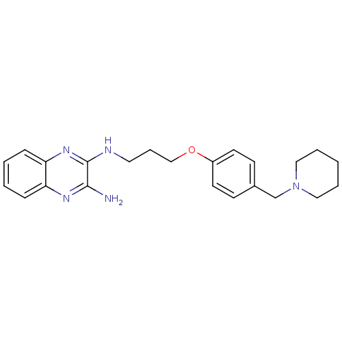 PNG