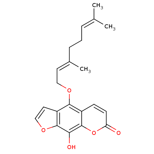 PNG
