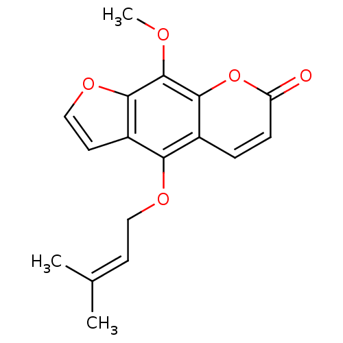 PNG