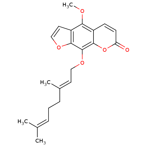 PNG