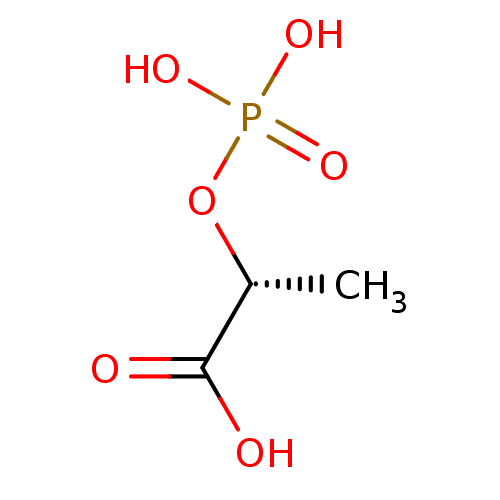 PNG