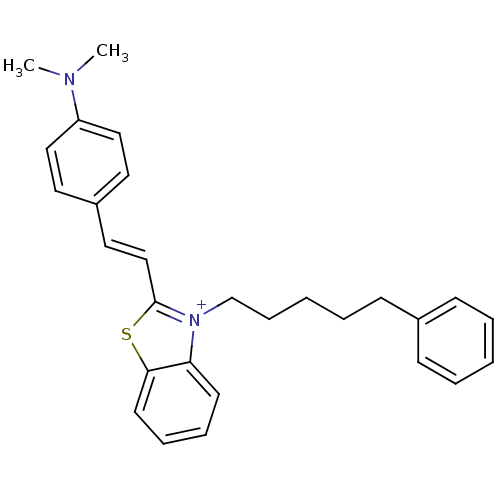 PNG