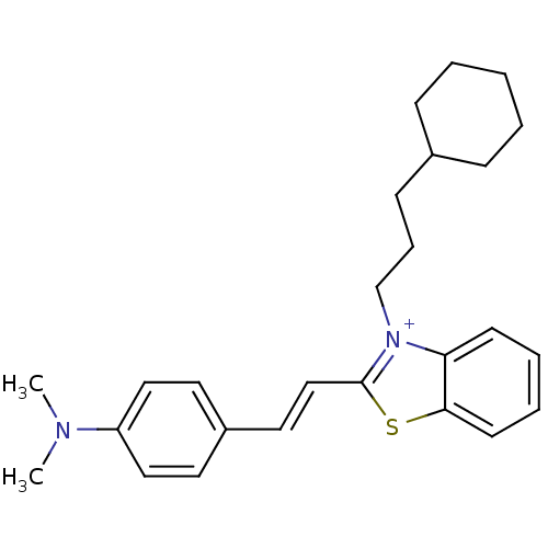 PNG