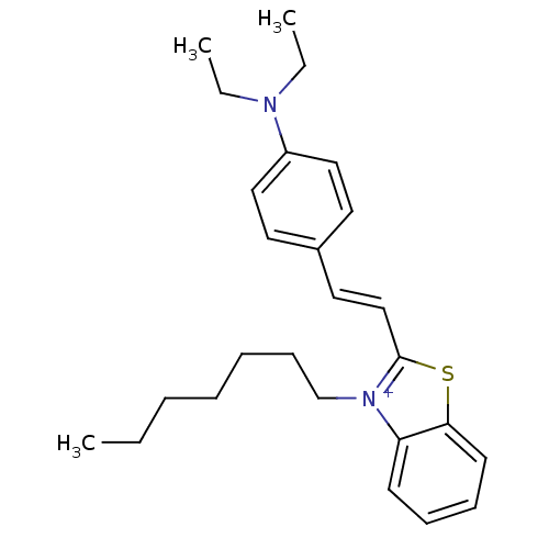 PNG