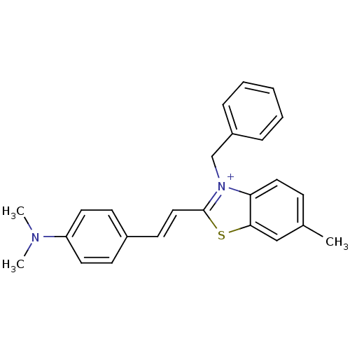 PNG