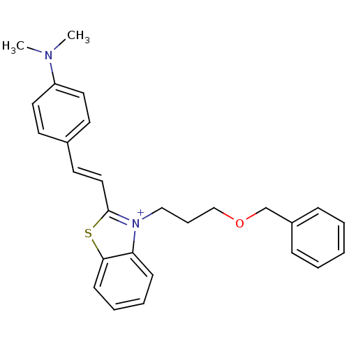 PNG