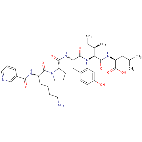 PNG