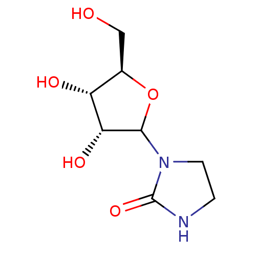 PNG