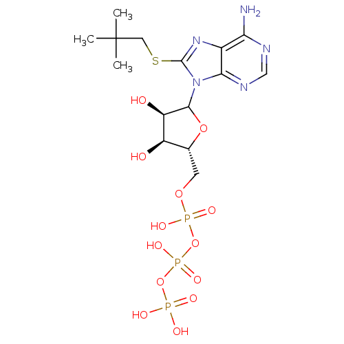 PNG