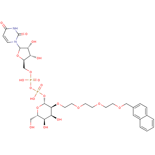 PNG