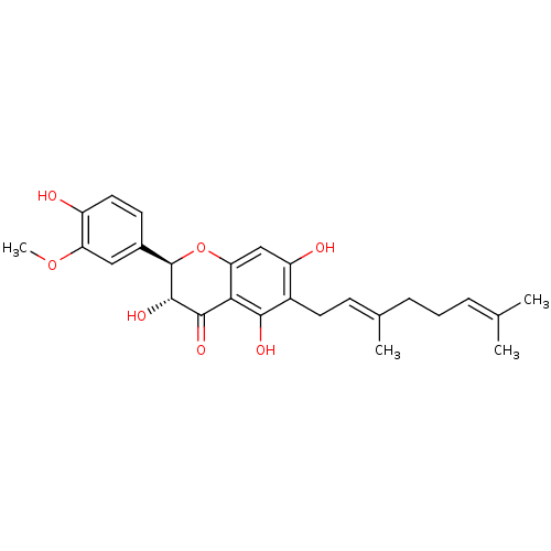 PNG