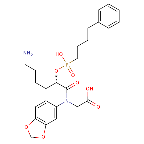 PNG