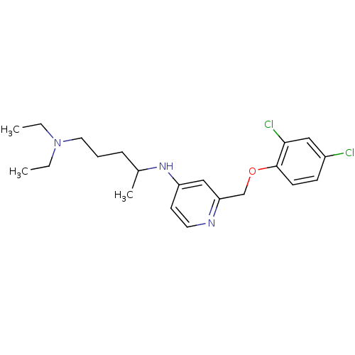 PNG