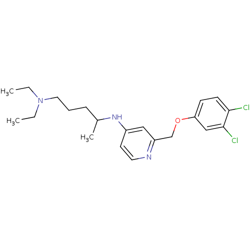 PNG