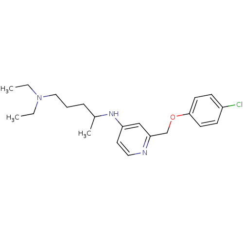 PNG