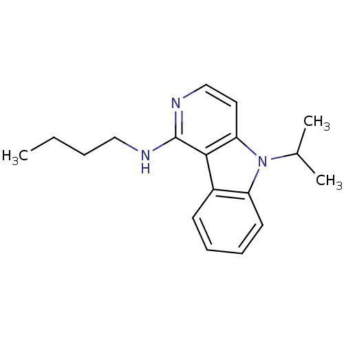 PNG